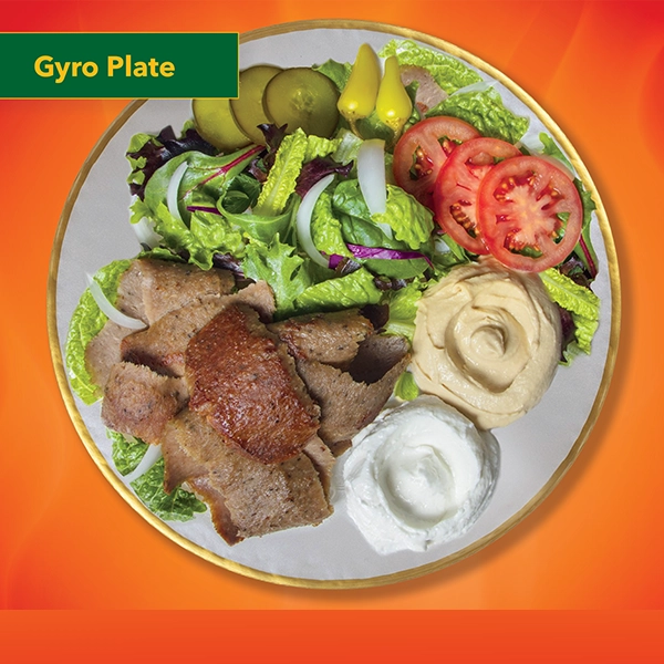 Gyro Plate